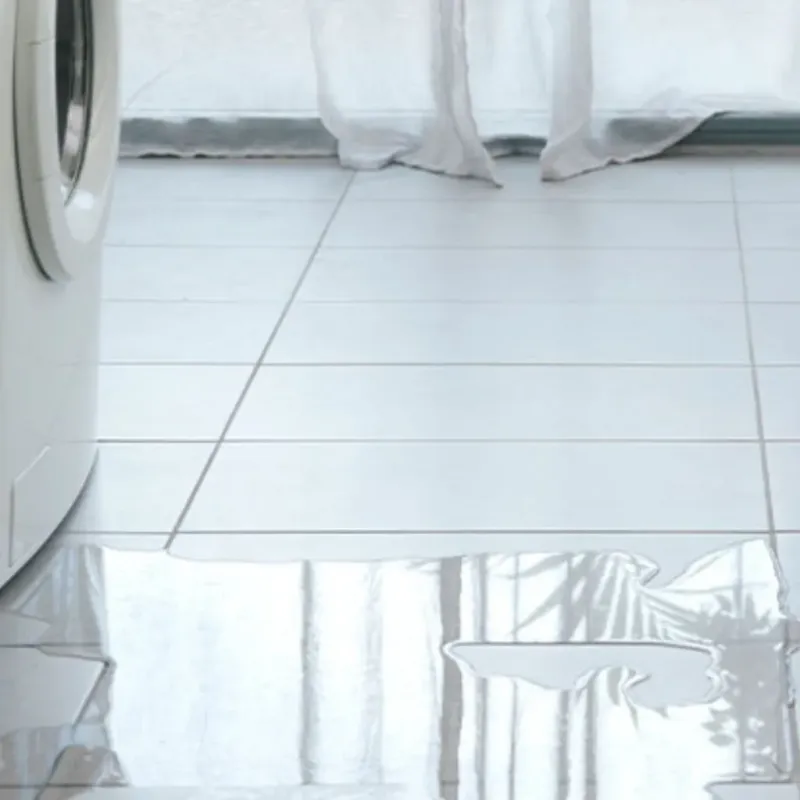 Appliance Leak Cleanup in Urbana, IA