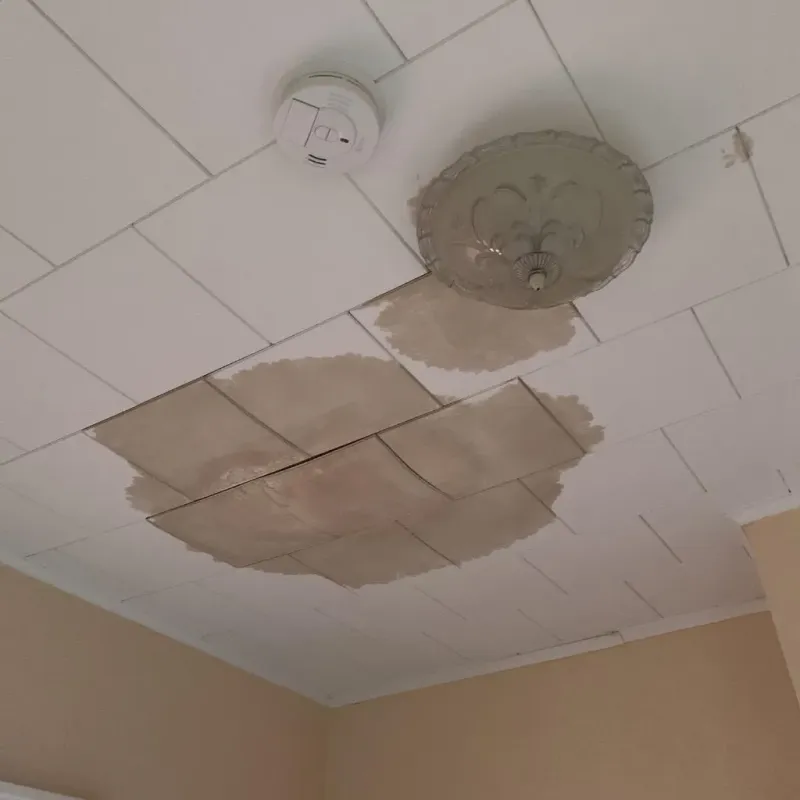Ceiling Water Damage Repair in Urbana, IA