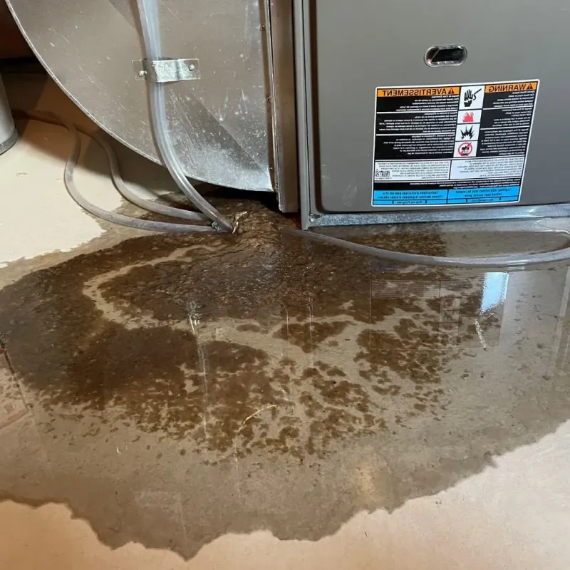 Pipe Burst and Leak Restoration in Urbana, IA